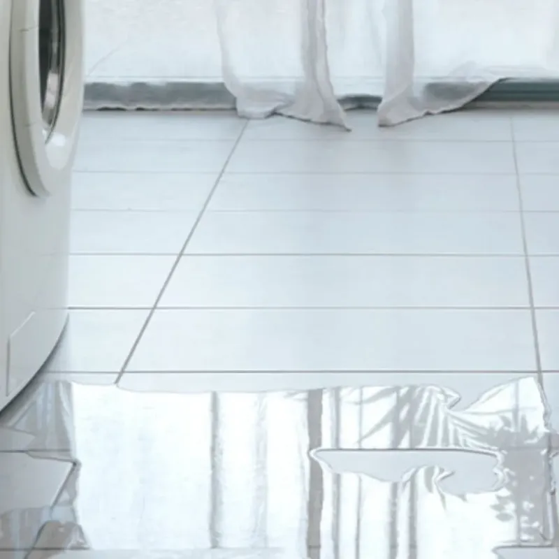 Appliance Leak Cleanup in Grand Rapids, MN